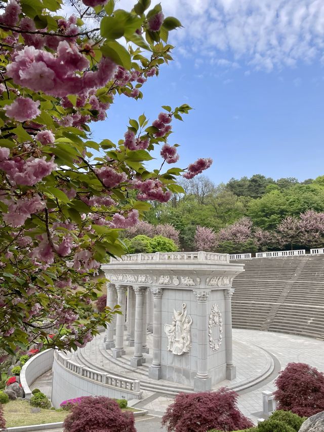 이국적인 겹벚꽃 명소, 경희대학교🌸