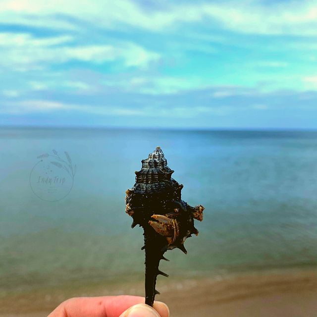 🦪อาหารทะเลโหลๆ