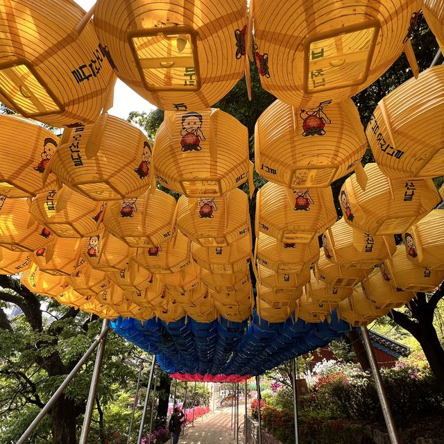 Place to visit in Korea (Bongeunsa Temple)