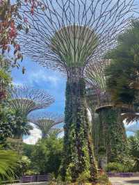 SHOULD YOU VISIT SINGAPORE? 🇸🇬