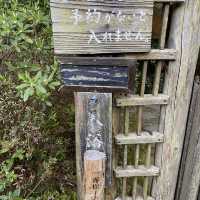 鹿児島県・旅行人山荘の貸切風呂「赤松の湯」は大自然の中にある