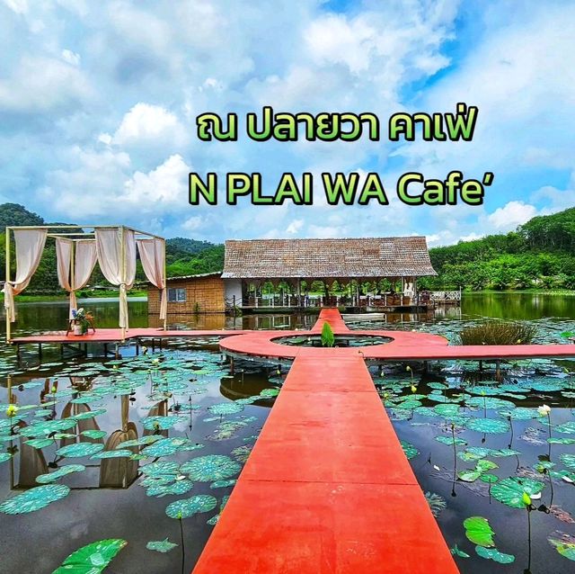 คาเฟ่ดีๆ ที่พังงา