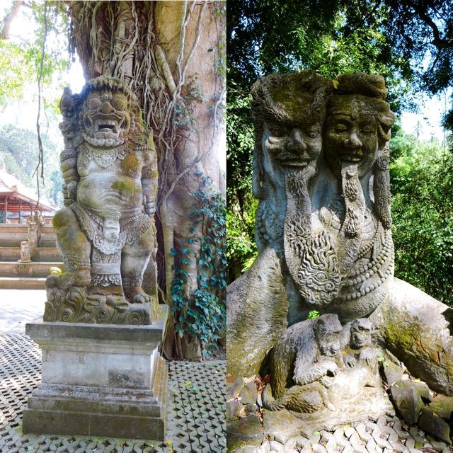 Wandering in Bali Monkey Forest