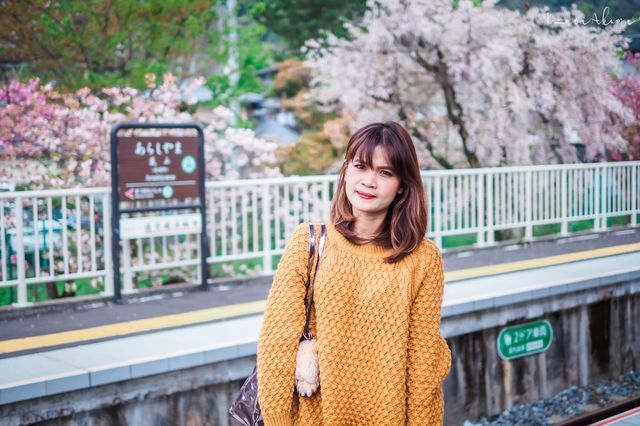 Arashiyama Bamboo Grove & Togetsu-kyo Bridge