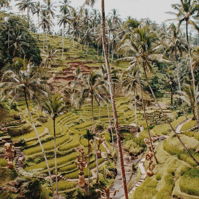 Alas Harum, Bali