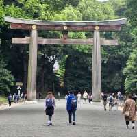 參拜人數日本第一！東京必去「明治神宮」⛩️🎎
