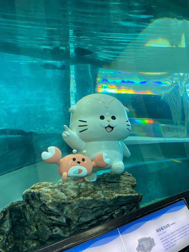 귀여운 가오리를 볼 수 있는  부산 국립 해양 박물관