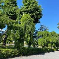 Motorikyu Nijo castle garden 