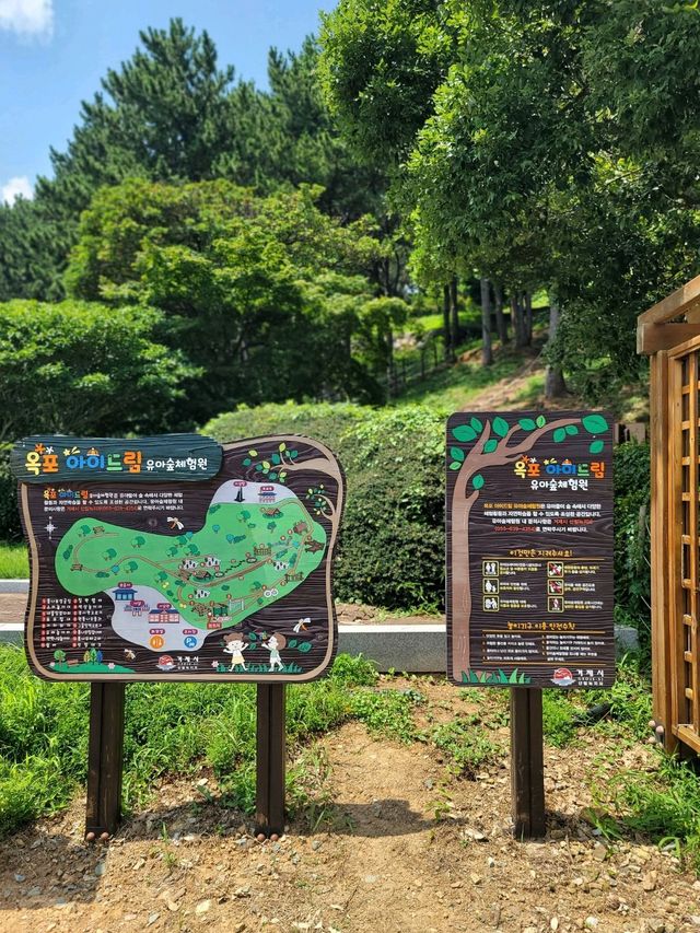 아이들이 놀기좋은 거제 옥포아이드림유아숲🌿