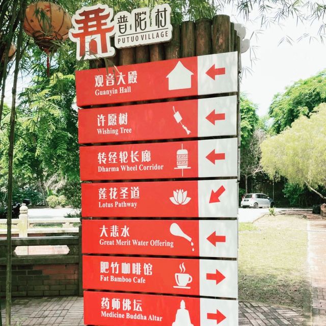 美到不要不要的竹林🌳🌳