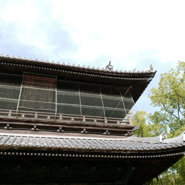 두근두근여름휴가 일본 후쿠오카 사찰 여행 Shofukuji 聖福寺