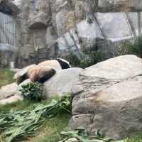 香港海洋公園