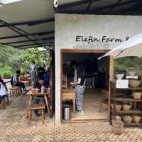 Elefin Farm & Cafe หางดง เชียงใหม่