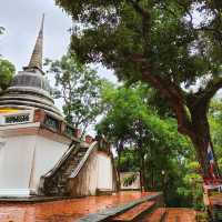 Wat Thai Yo👍🏻🙏🏼👍🏻