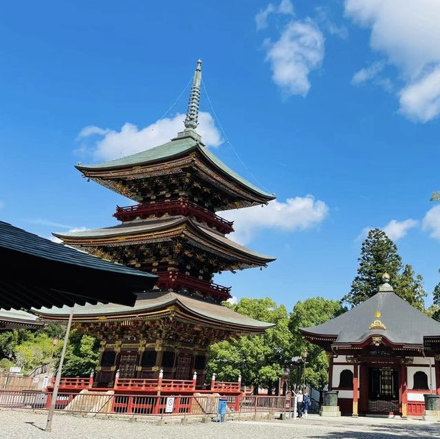 追尋自然與寧靜！成田山公園🌳🏞️🌸