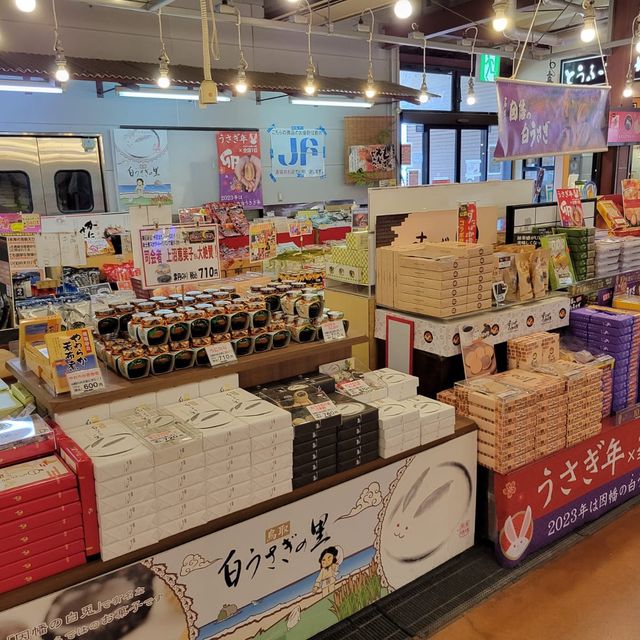 去日本一定要去魚市場！賀露港海鮮市