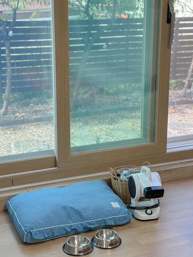 청주에서 메이와 함께 힐링, 오늘의 우리 집🏠