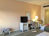 宮崎ANA Holiday Inn Resort