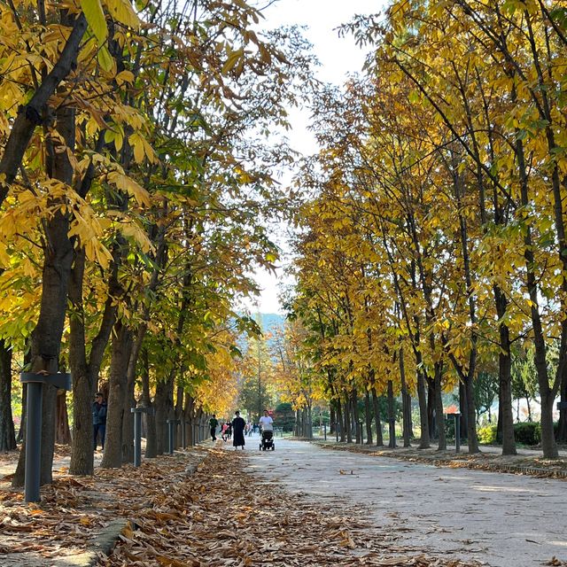 가을이 오면 가장 먼저 생각나는 경주 여행지🍁