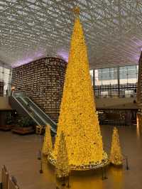 세상 제일 반짝이는 서점✨ 황금빛 대형트리 혼자 즐기는 방법🎄