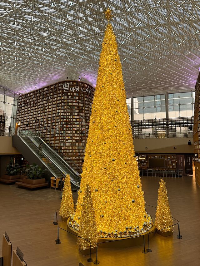 세상 제일 반짝이는 서점✨ 황금빛 대형트리 혼자 즐기는 방법🎄