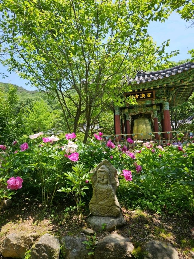 멋진 풍경의 보성 대원사에서 힐링🌳🌳