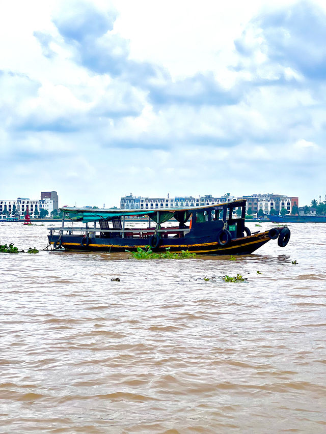 1 Day Trip To Mekong Delta 🇻🇳