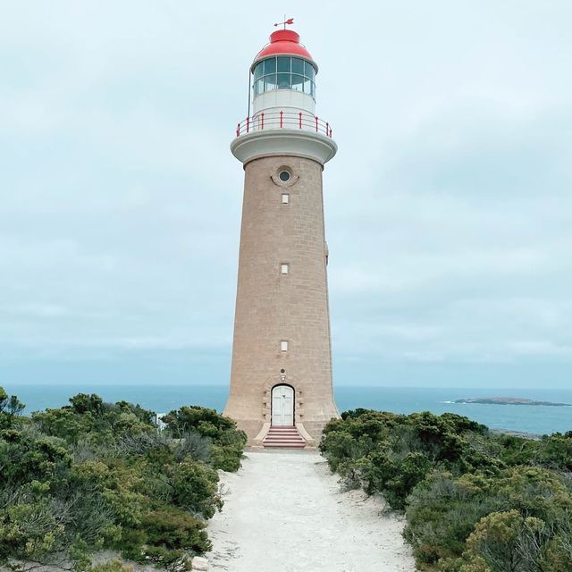 Cape du Couedic, South Australia 🇦🇺