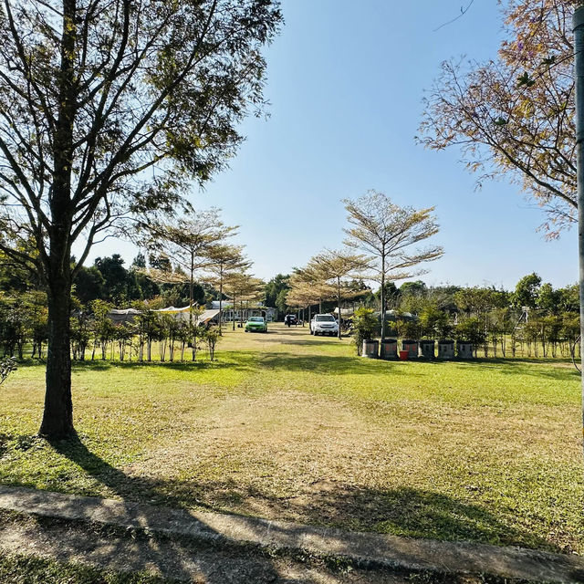 卓蘭山林野地露營區