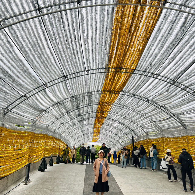 สวนสาธารณะที่มีมากกว่าสวน