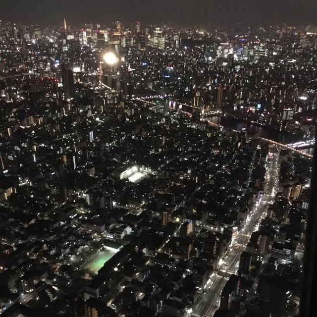 夜の東京デート/観光🍸🐠 夜の東京デート/観光🍸🐠