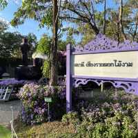 งานเชียงรายดอกไม้งาม