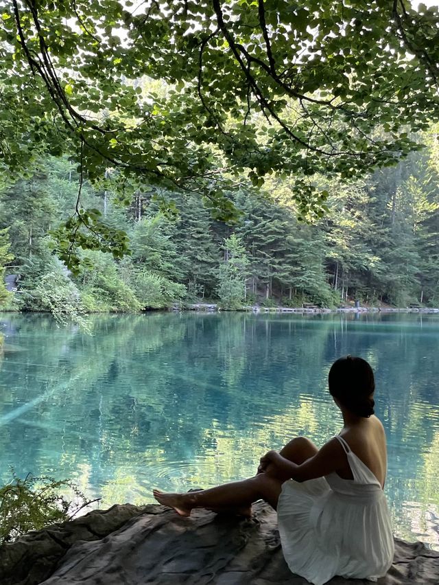 요정출몰주의!! 블라우제 네이쳐 파크🧚🍃