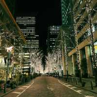 東京の冬を彩る風物詩