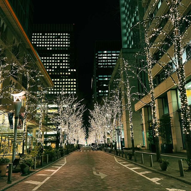 東京の冬を彩る風物詩