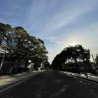 【福岡　箱崎】筥崎宮で銭洗い御神水