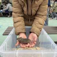 ふれあい広場〜野毛山動物園〜