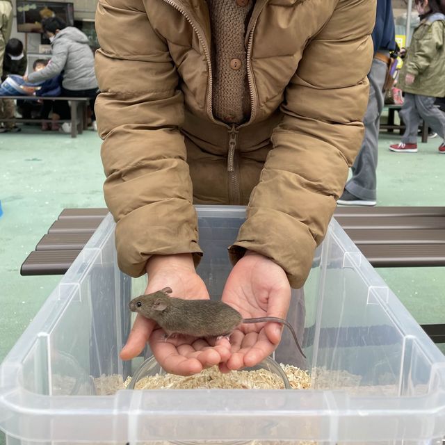 ふれあい広場〜野毛山動物園〜