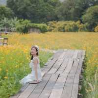 คาเฟ่สุดน่ารัก ท่ามกลางทุ่งดอกไม้ วิวภูเขา