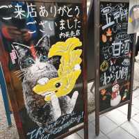 名古屋城的守護者【金鯱】