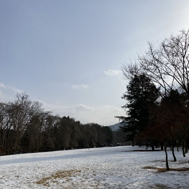 韓國南怡島❄️❄️