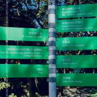 西貢離島遊，發掘鹽田梓「教友村」的客家文化