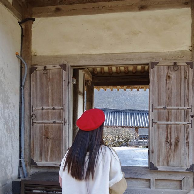 안동을 간다면 병산서원 방문 필수❗️