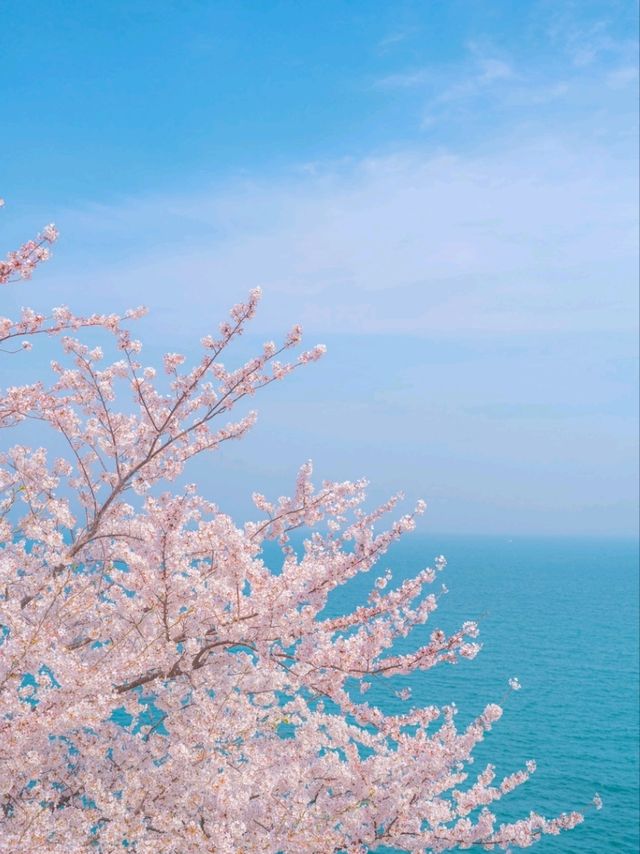스즈메의 문단속을 연상시키는 "용월사"