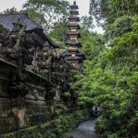 The Campuhan Ridge Walk