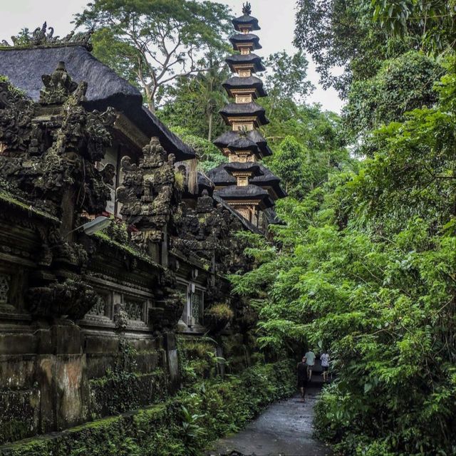 The Campuhan Ridge Walk
