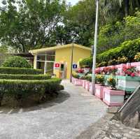 Montanha Russa Garden 