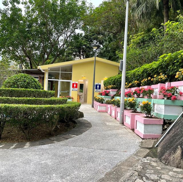 Montanha Russa Garden 