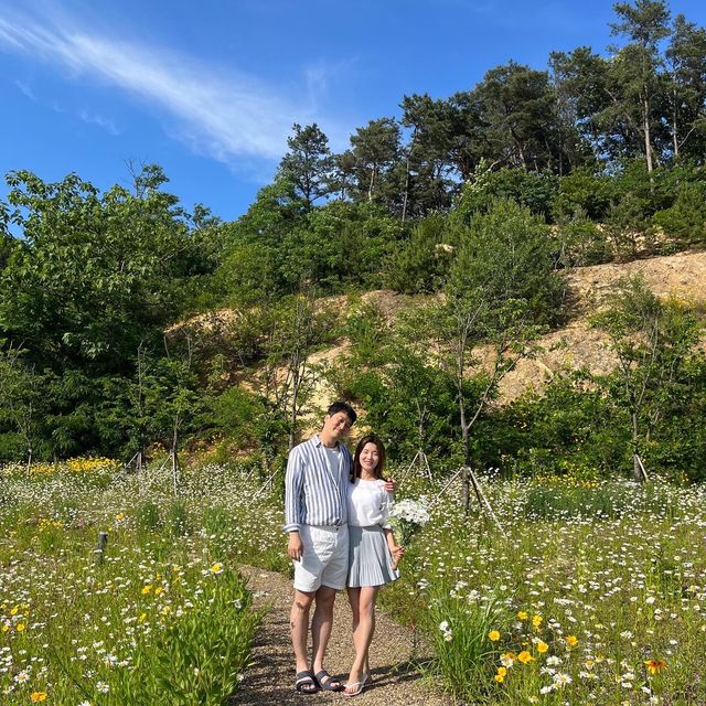 화성에도 생긴 샤스타데이지 꽃밭이 있는 카페! 욕실컨셉의 로얄엑스클럽