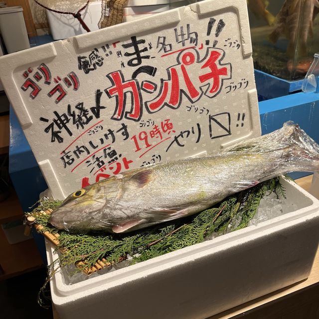【大阪・北新地】鮮度抜群の釣魚が自慢の居酒屋「釣宿酒場マヅメ 梅田本店」